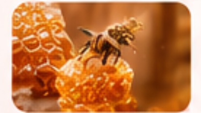 Lebah di atas honeycomb madu
